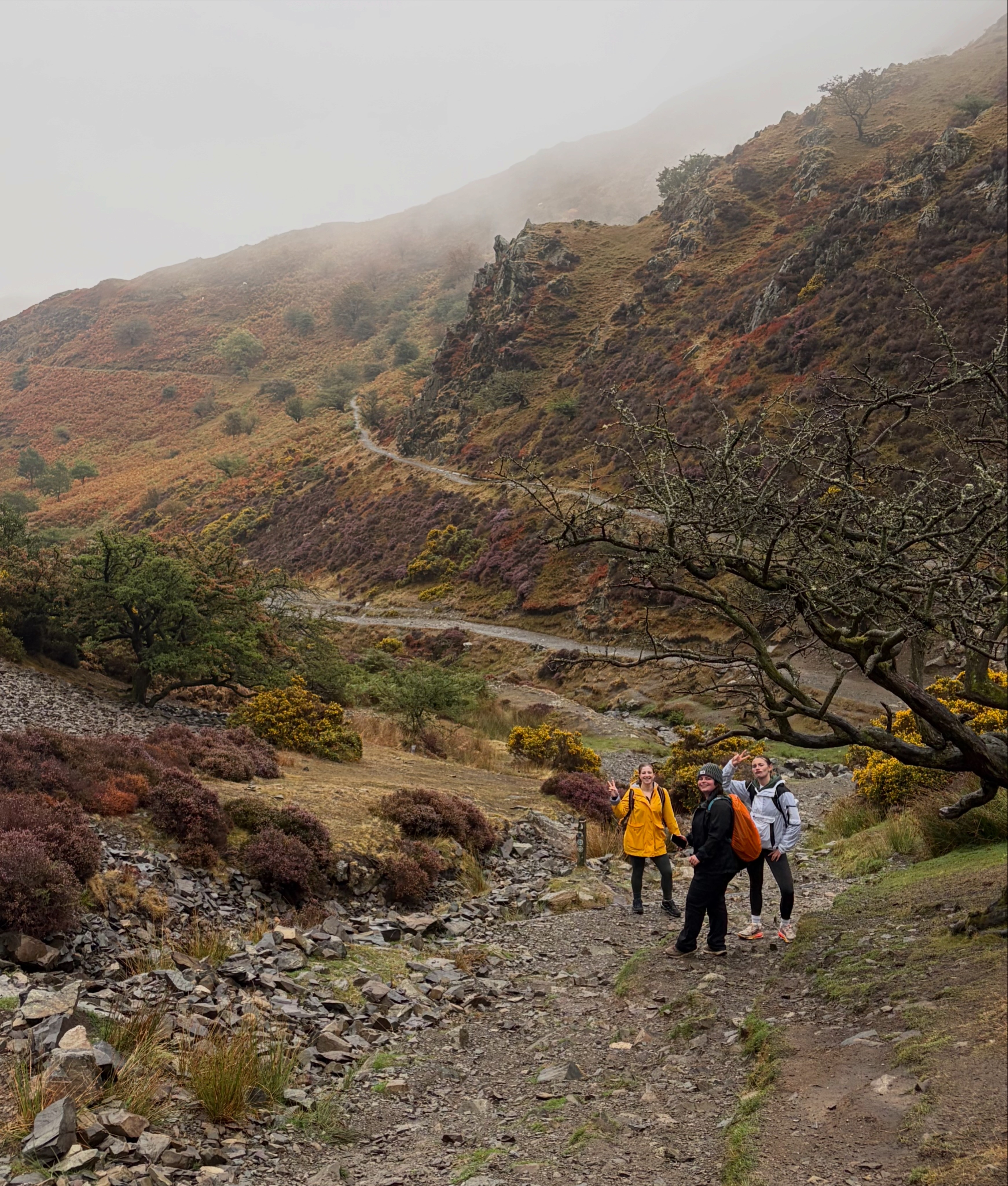 The Solo Social group enjoying a mountain hike